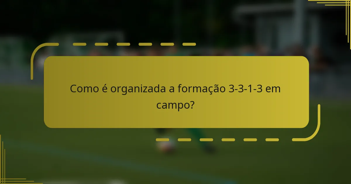 Como é organizada a formação 3-3-1-3 em campo?